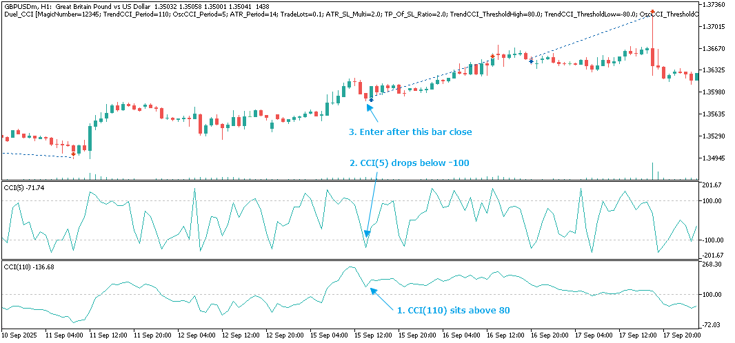 Long Setup Example